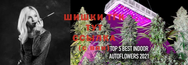 бутират Алзамай