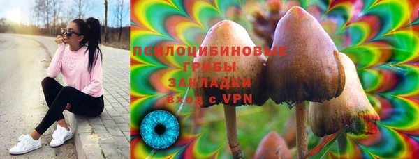 бутират Алзамай